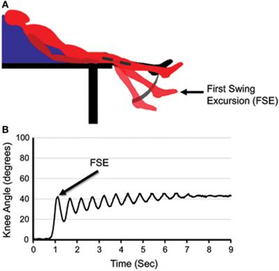 Priming Neural Circuits to Modulate Spinal Reflex Excitability